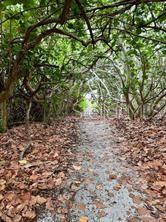 COQUINA BEACH - Land