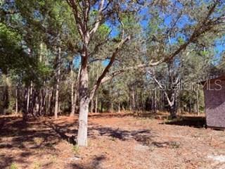 WOODLAND ACRES - Residential