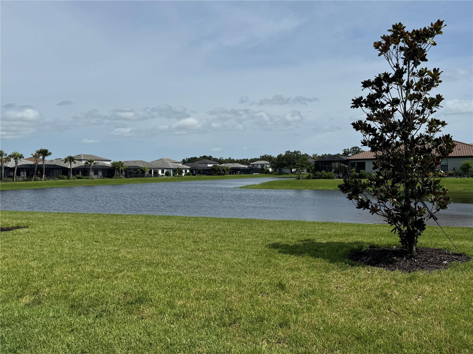 MAGNOLIA RANCH - Residential