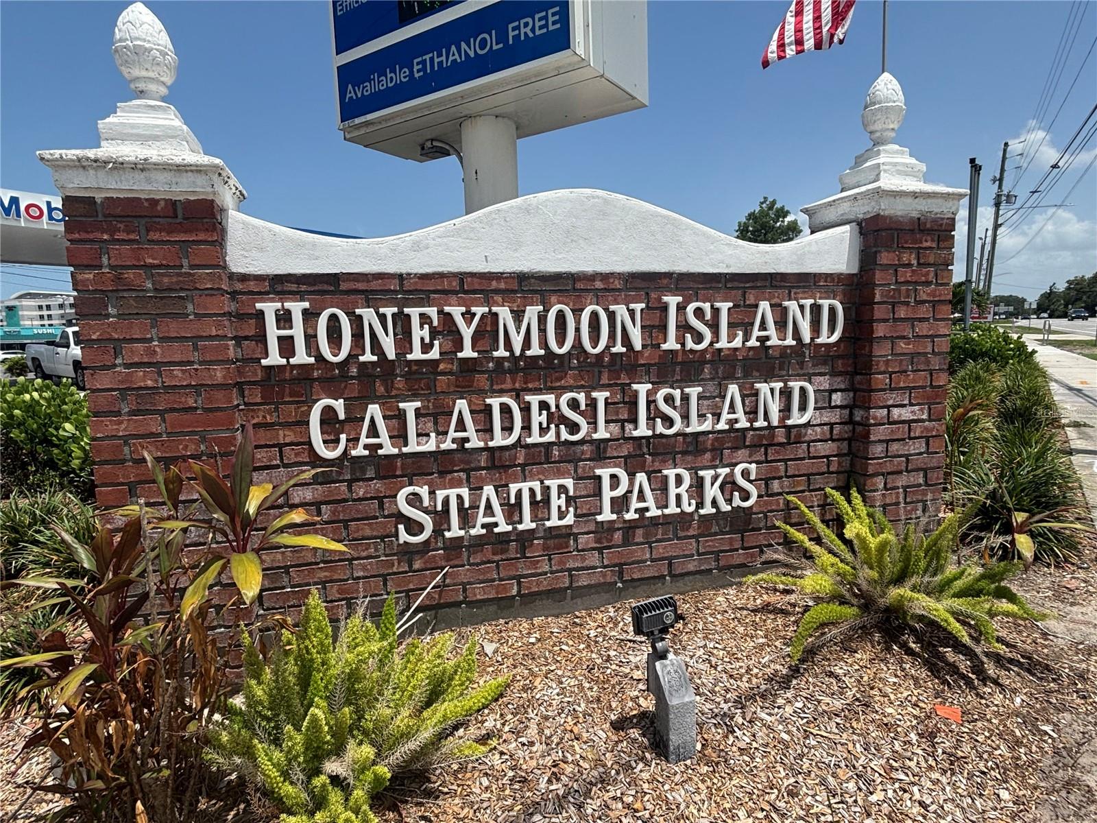 HARBOUR OAKS OF DUNEDIN CONDO - Residential