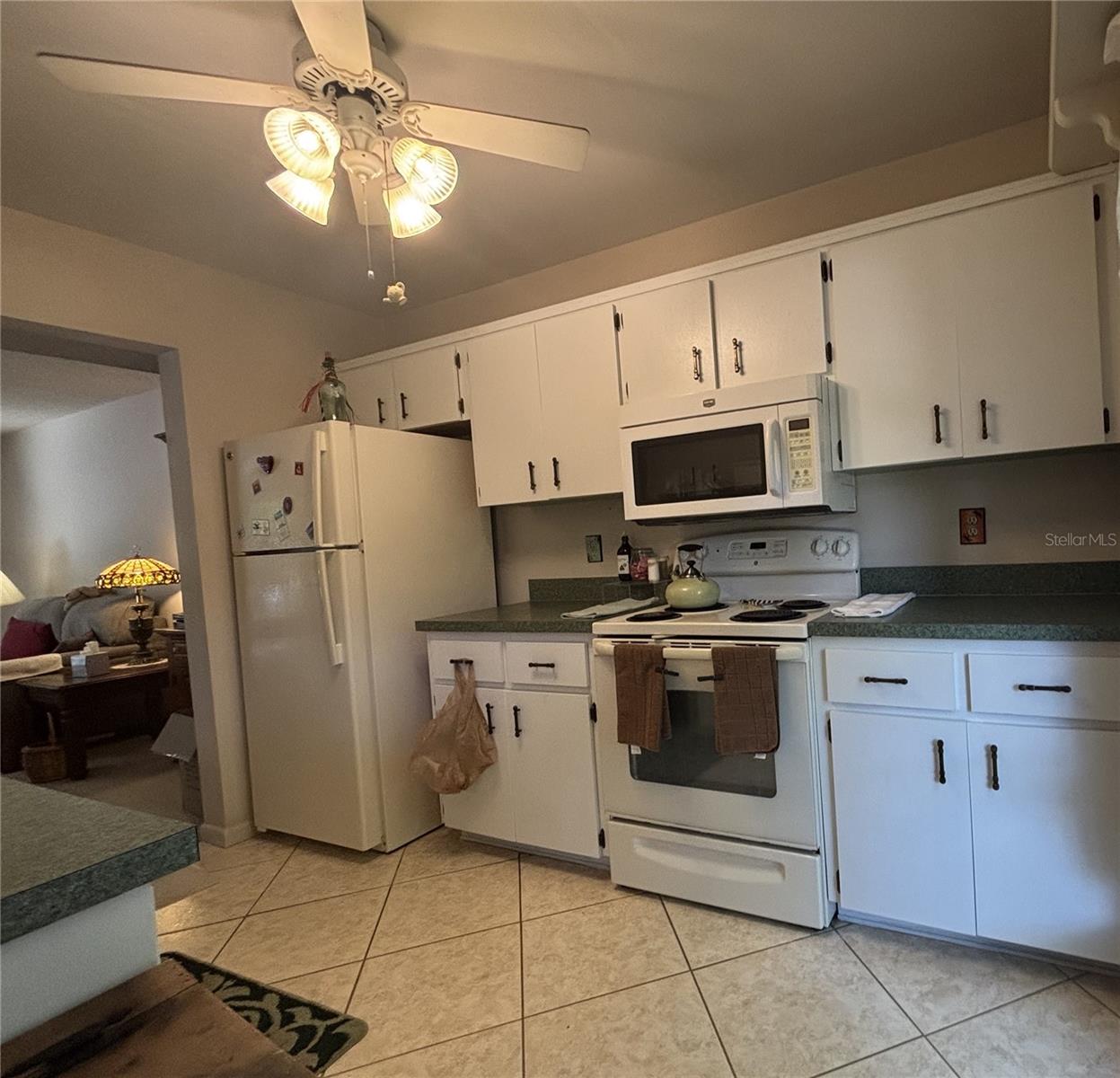 HARBOUR OAKS OF DUNEDIN CONDO - Residential