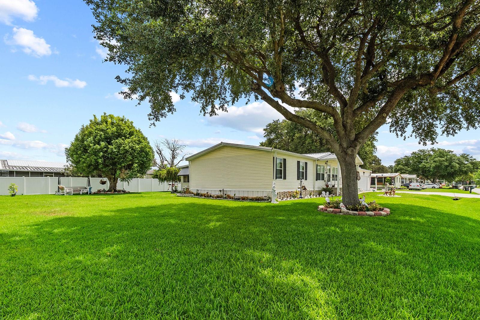 MOUNT OLIVE HEIGHTS - Residential