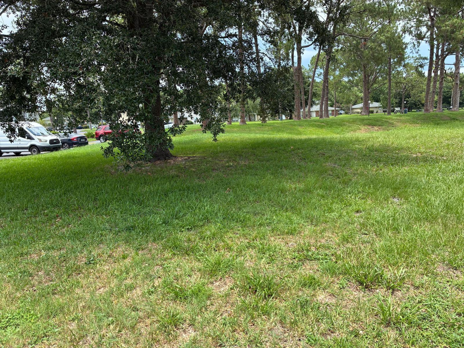 PINE SHADOWS CONDO PH 03 - Residential