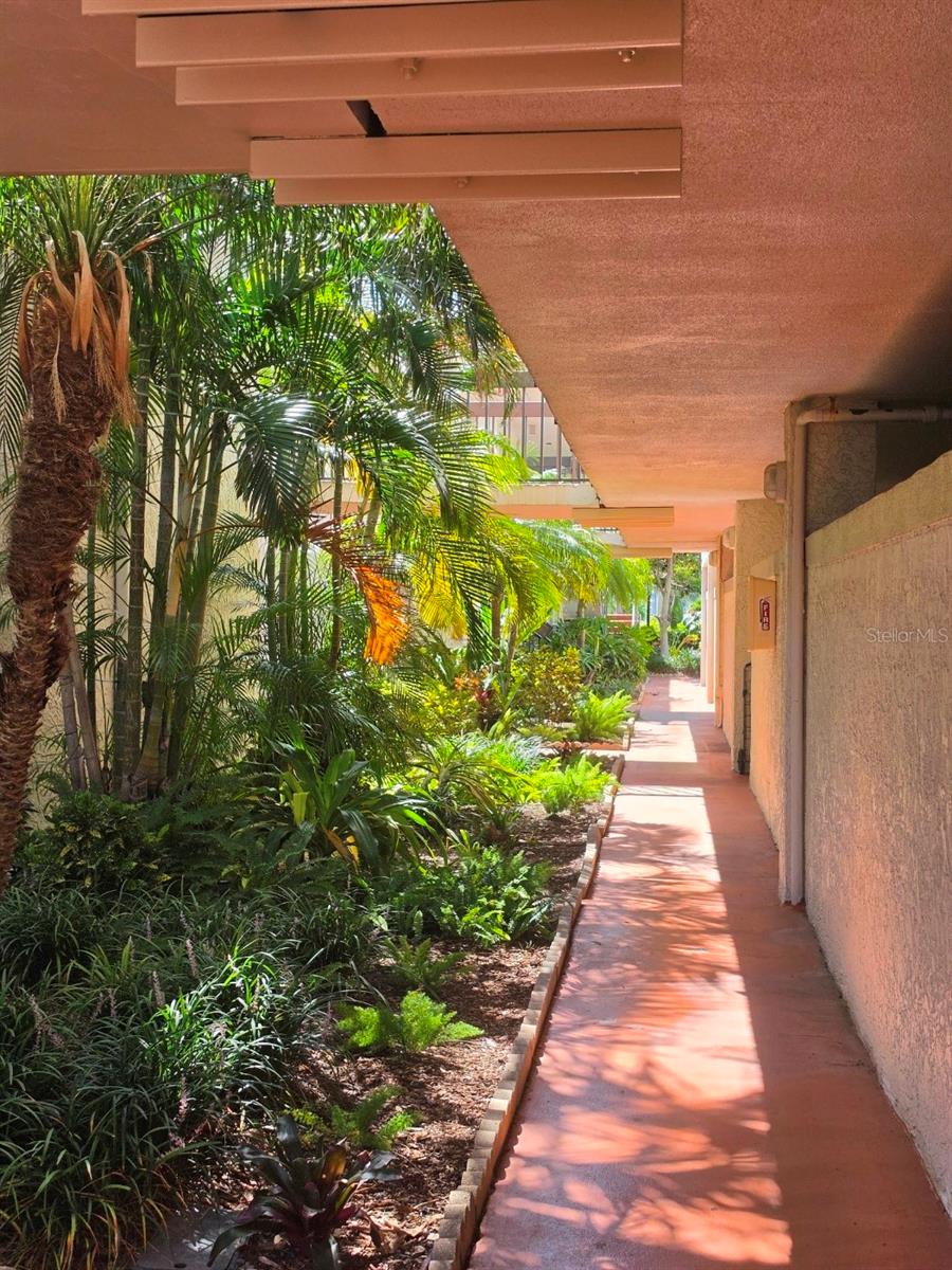 BAHIA DEL MAR II - Residential Lease