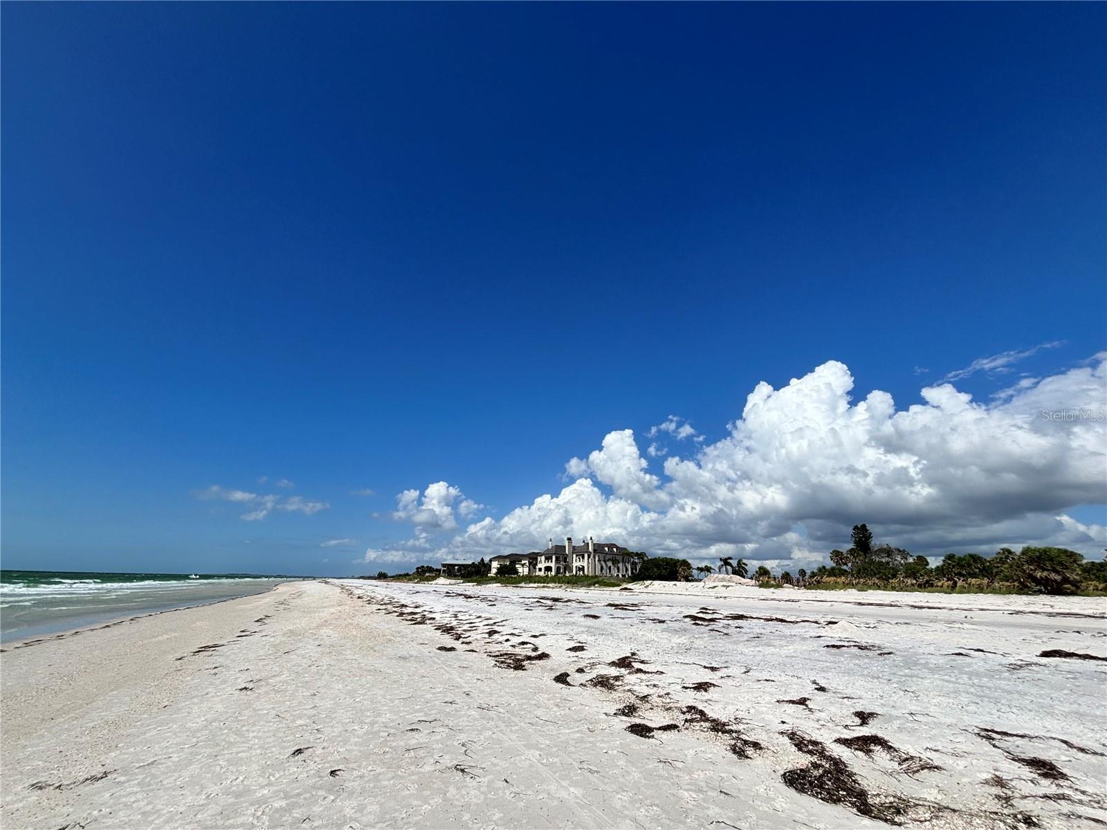 REGATTA BEACH CLUB CONDO - Residential