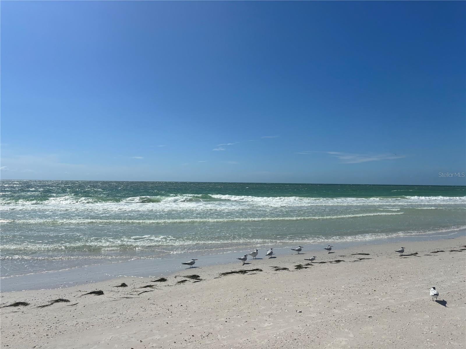 REGATTA BEACH CLUB CONDO - Residential