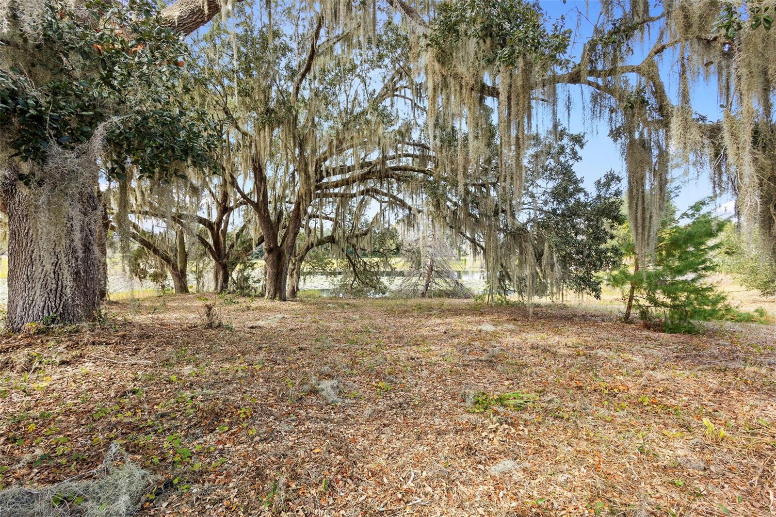 DELAND: Discover the perfect canvas for your custom home within Rolling Oaks Estate DeLand, an exclusive gated community in one of DeLand’s most sought-after areas. This spacious 2.5-acre parcel offers the rare combination of privacy, prestige, and pristine natural beauty.
Design and build your dream residence amid the quiet elegance of this enclave, where estate-style homes are thoughtfully nestled on expansive lots.  Live in a peaceful country setting ideally located off Blue Lake Road near the new Beresford extension, with close proximity to Victoria Commons, and just minutes from the vibrant heart of Historic Downtown DeLand.  DeLand features charming brick-lined streets, local boutiques, award-winning restaurants, Stetson University, and year-round community events. From your future doorstep, you’ll find quick access to I-4 and US 17-92, making it easy to reach Daytona Beach, Orlando attractions, and the natural wonders of local Springs and the St. Johns River for boating, kayaking, and exploring. DeLand’s sense of community,"A" rated school district, and thriving local culture make it a truly special place to call home.