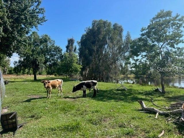 ACREAGE & UNREC - Residential