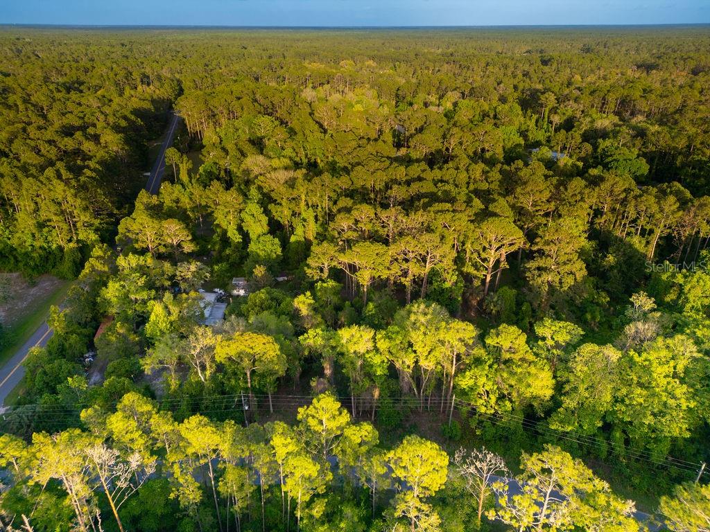 PLANTATION PINES II WHISPERING PINES SEC 1ST ADD - Land