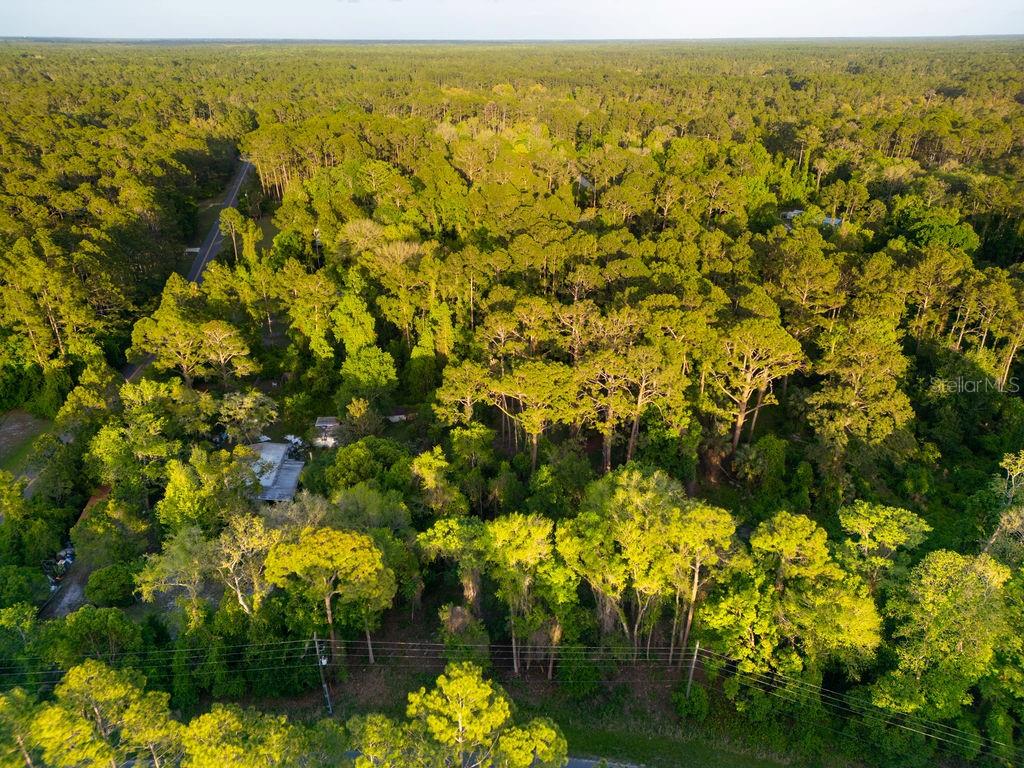 PLANTATION PINES II WHISPERING PINES SEC 1ST ADD - Land