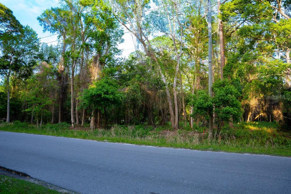 PLANTATION PINES II WHISPERING PINES SEC 1ST ADD - Land
