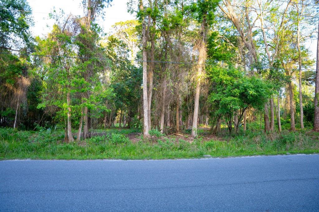 PLANTATION PINES II WHISPERING PINES SEC 1ST ADD - Land