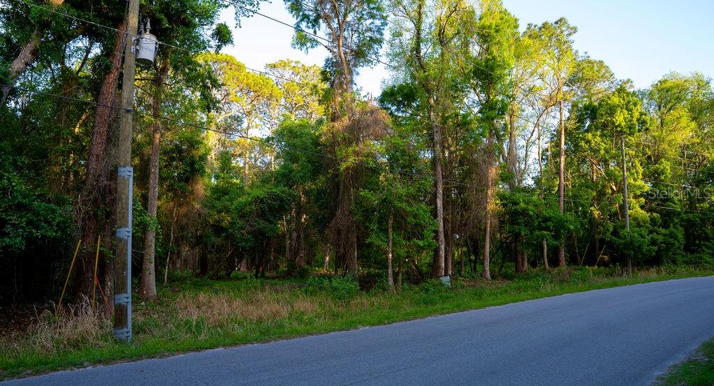 PLANTATION PINES II WHISPERING PINES SEC 1ST ADD - Land