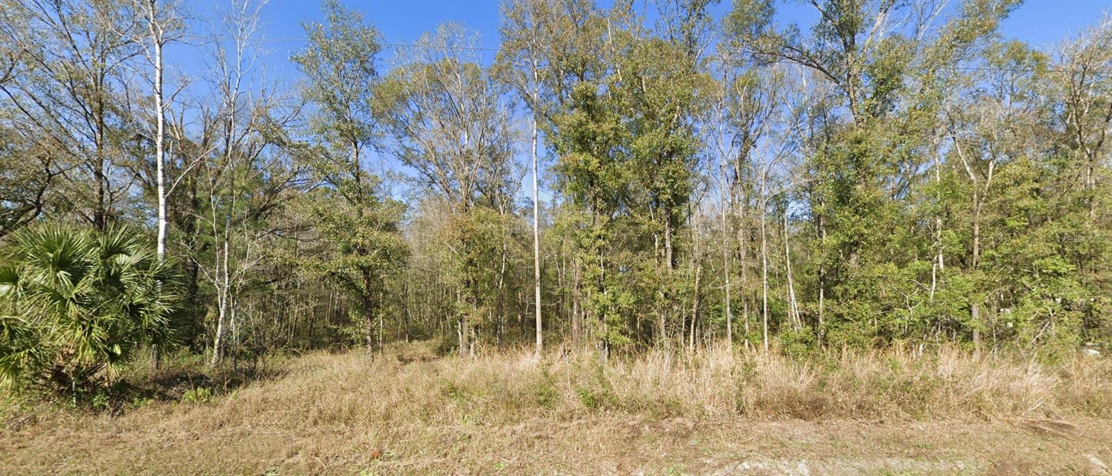 FLAGLER ESTATES UNPLATTED UNIT 3 - Land