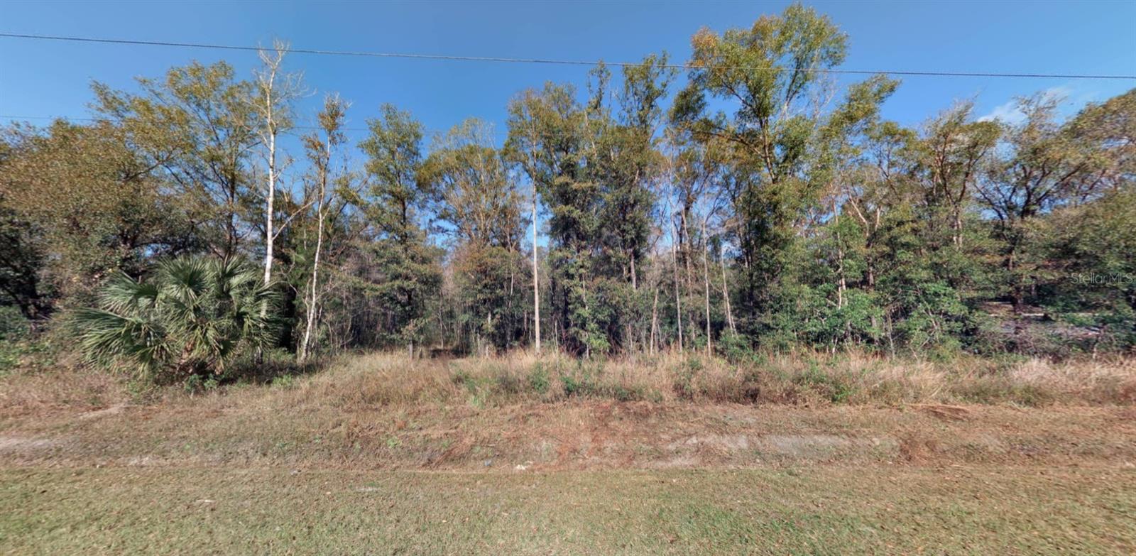 FLAGLER ESTATES UNPLATTED UNIT 3 - Land