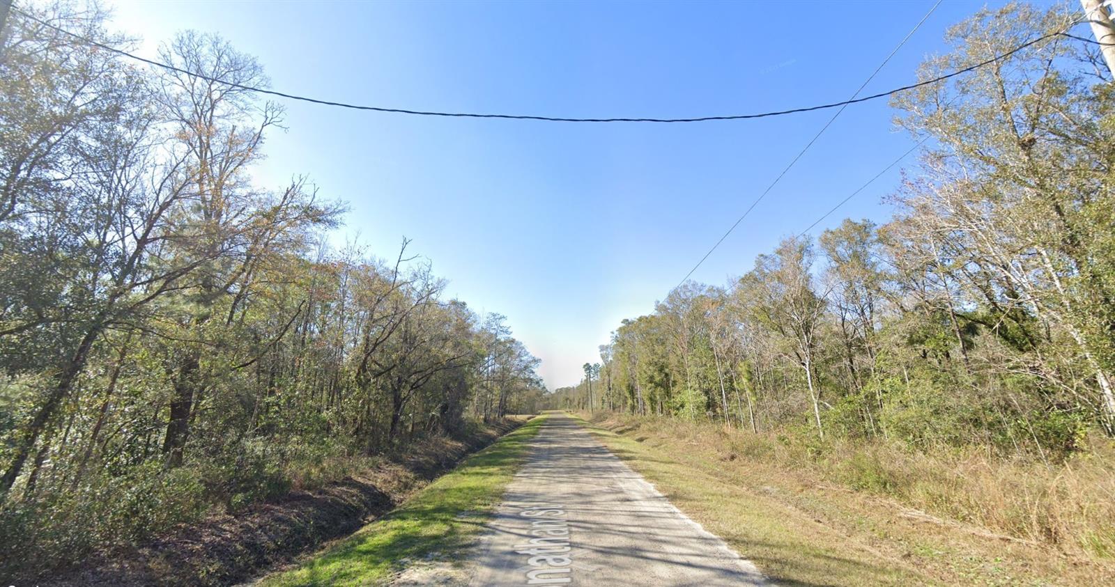 FLAGLER ESTATES UNPLATTED UNIT 3 - Land