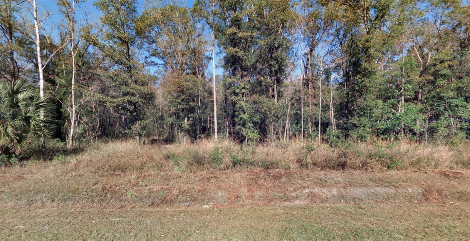 FLAGLER ESTATES UNPLATTED UNIT 3 - Land