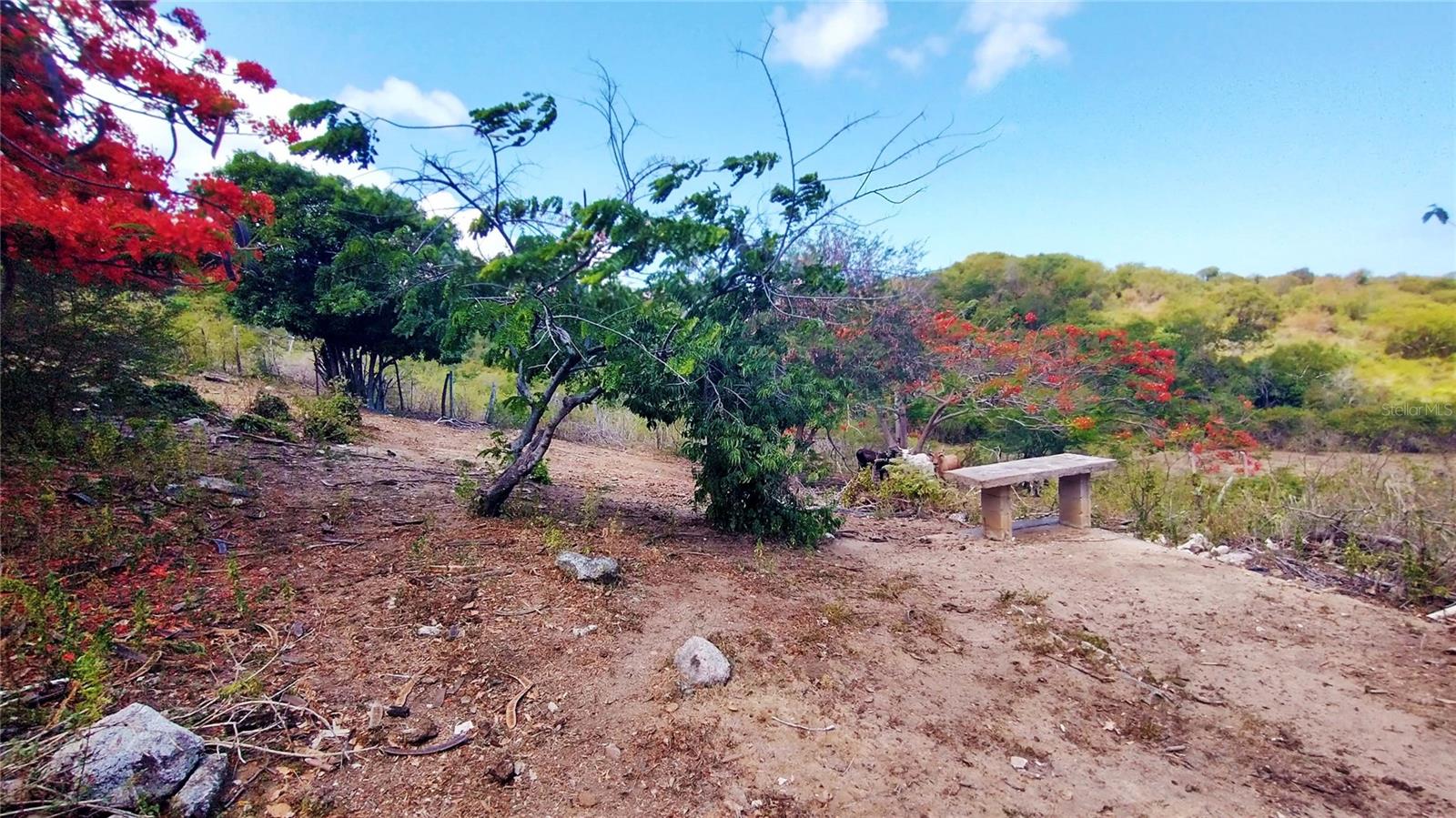 DESTINO - Residential