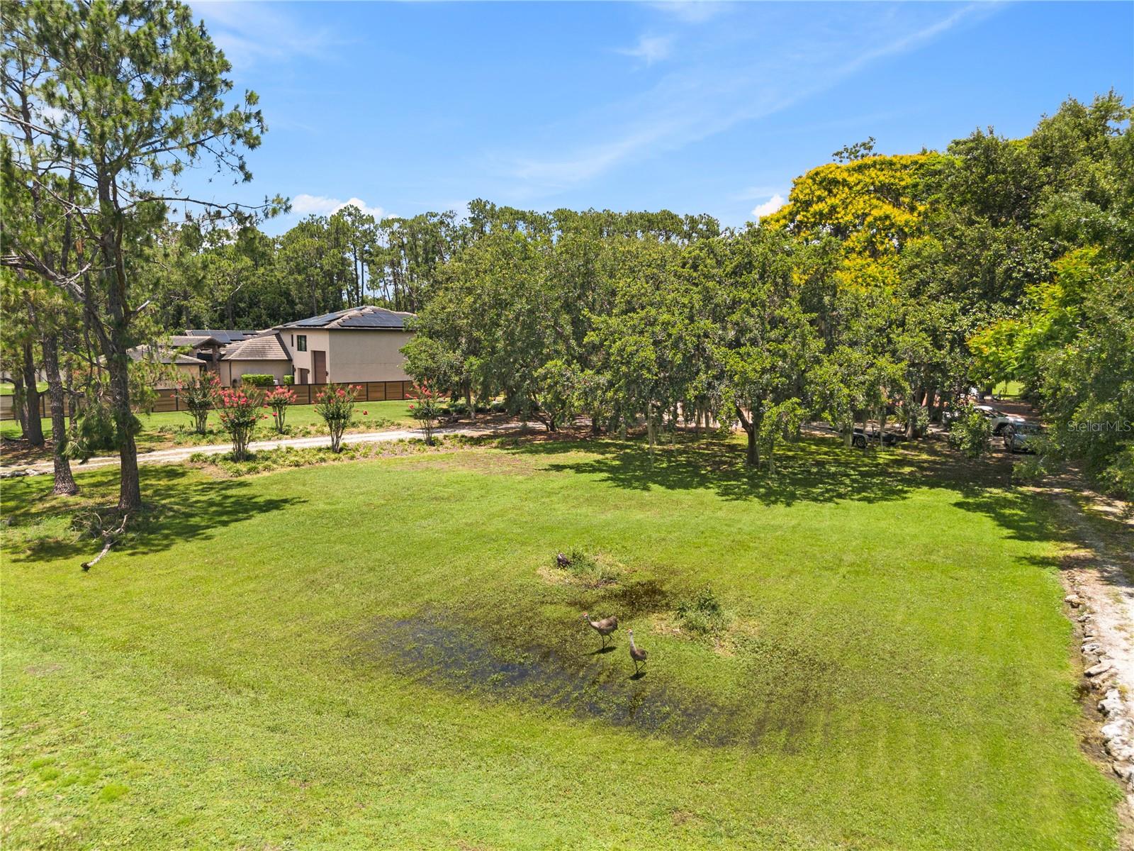 CYPRESS SHORES - Residential Lease