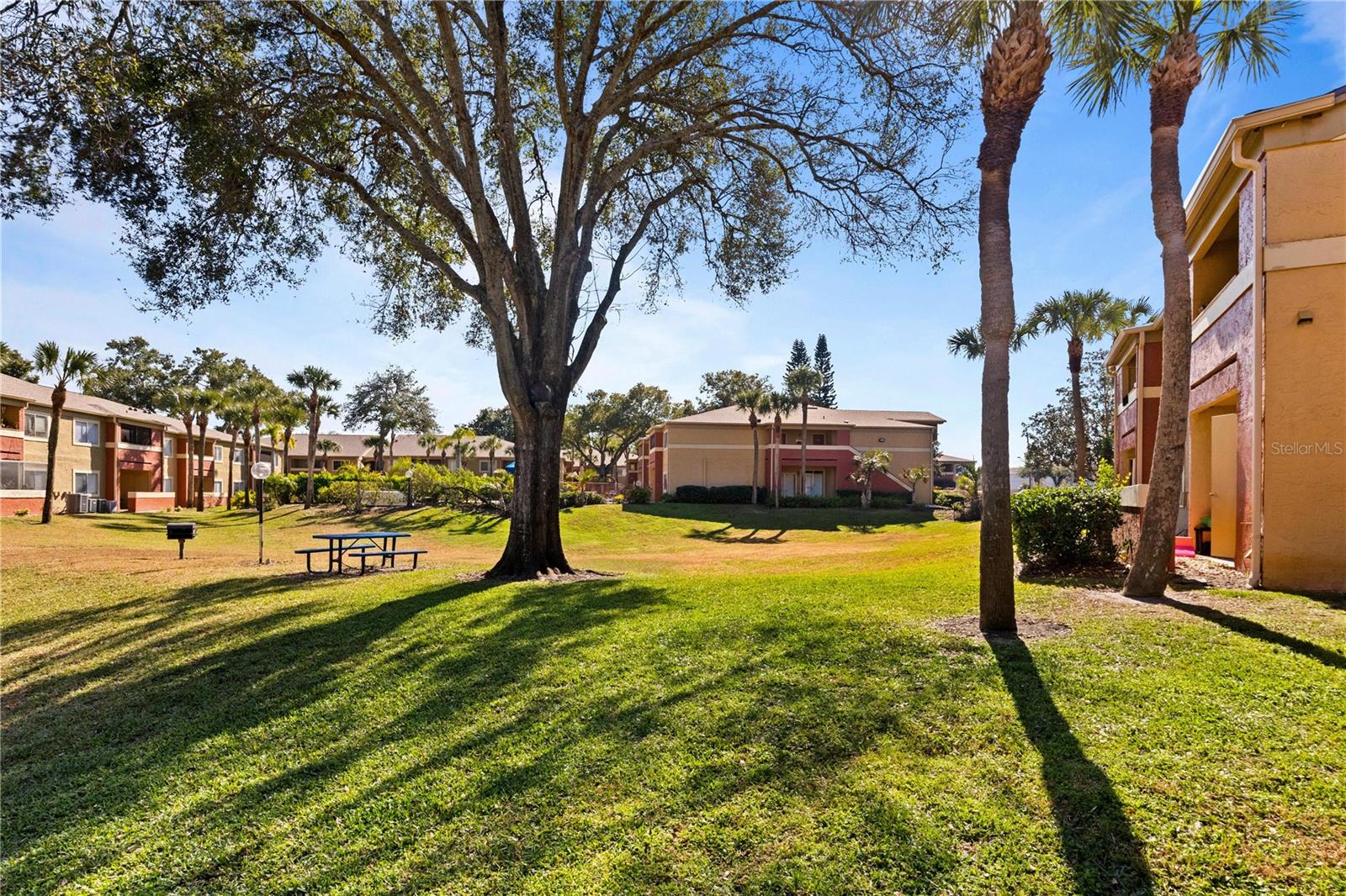 OXFORD SQUARE CONDO - Residential