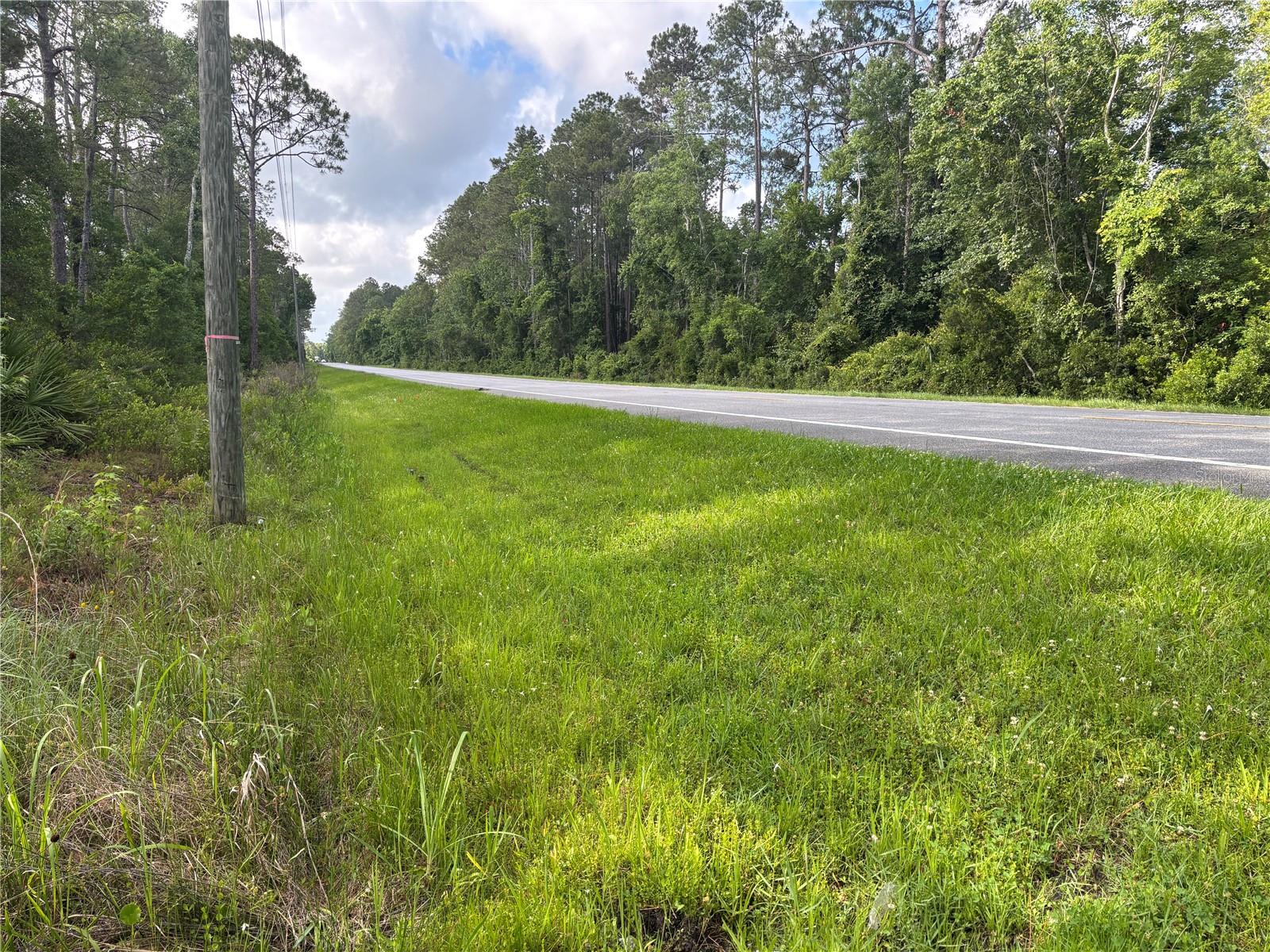 This 17.94+/-acre property offers a prime mix of agriculture and recreation, featuring over 1,200 feet of paved frontage on US Highway 17. Zoned A-1, it is an exceptional investment for a private farm or outdoor retreat.  Excellent hunting opportunities for Whitetail deer, wild hogs, and Osceola turkeys. Located just minutes from Lake George, and approximately 30 minutes from the heart of Downtown Deland. Call today to schedule a private showing. Come enjoy the Great Outdoors!