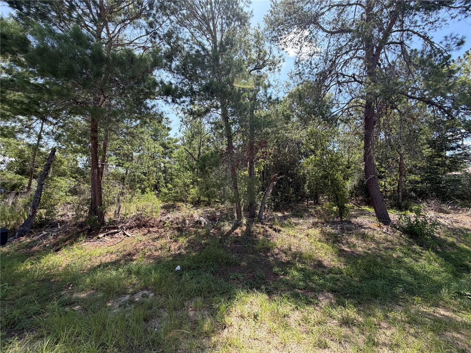 SILVER SPRINGS SHORES UNIT 20 - Land