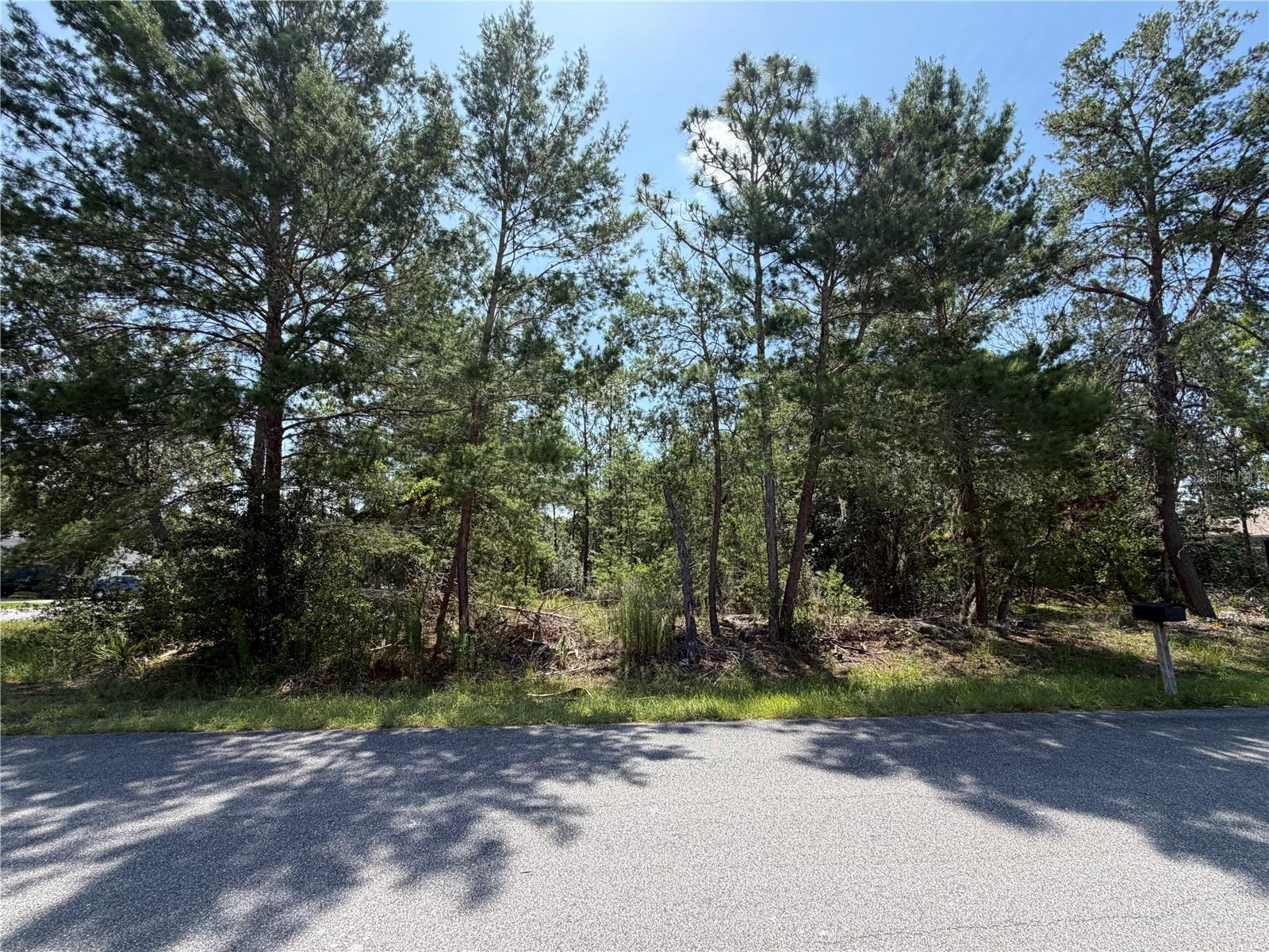 Build the home you've been dreaming of on this oversized 0.34 acre corner lot in a desirable Ocala location. Zoned R-1 Residential, this buildable parcel offers additional space and flexibility to
create a home tailored to your lifestyle. Situated on a paved street, this wooded lot provides the opportunity to preserve the natural landscape while designing your ideal homesite. With no HOA
and not located in a flood zone, you'll enjoy added flexibility and peace of mind as you plan your future home. Conveniently located near shopping, dining, schools, parks, and other everyday
amenities, this property combines a great location with the opportunity to build in one of Ocala's growing residential areas. Whether you're ready to build now or planning for the future, this
spacious corner lot offers outstanding potential. Schedule a visit today and explore the possibilities this property has to offer.