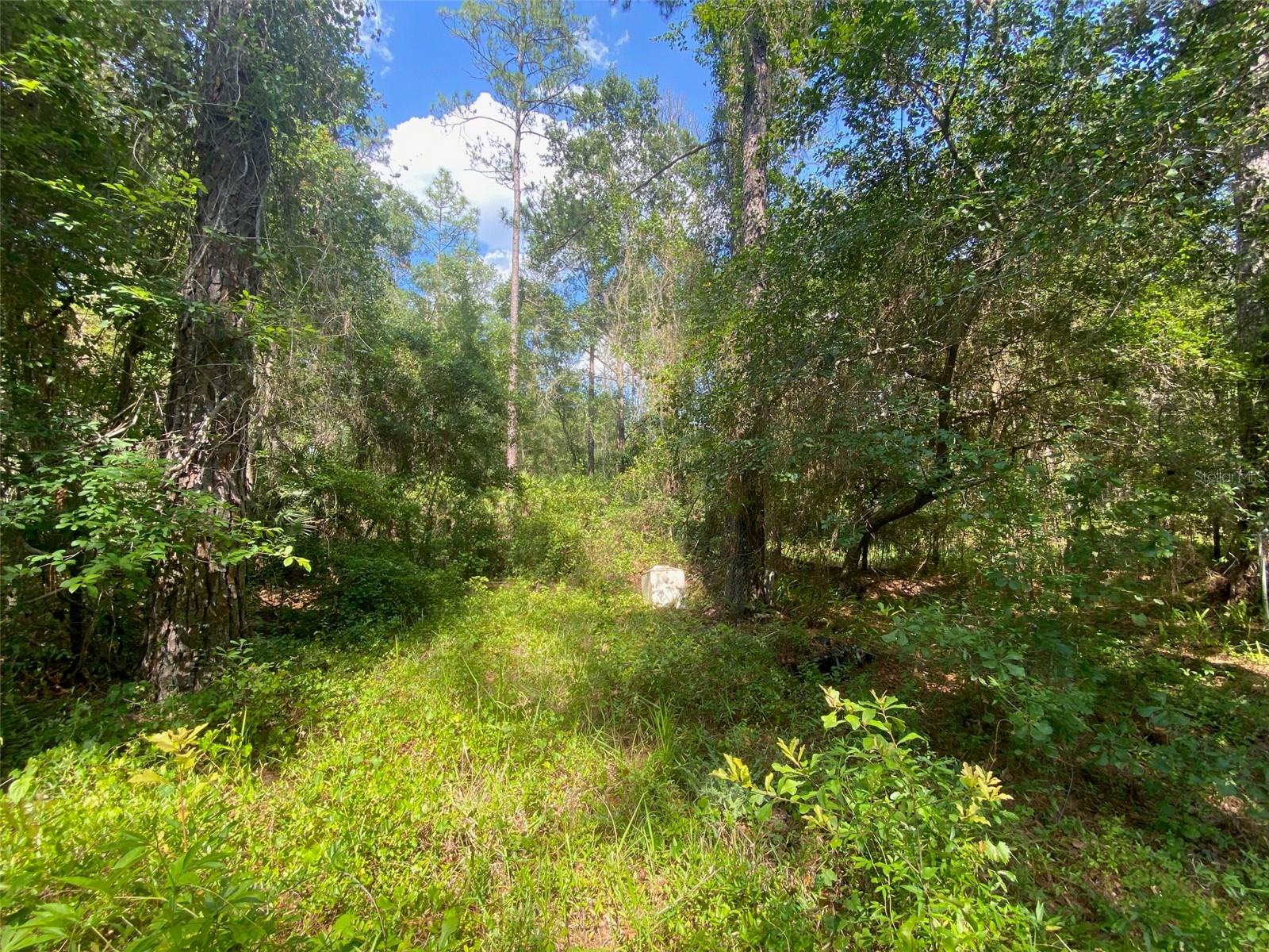 BLACKSINK CAMPSITES - Land