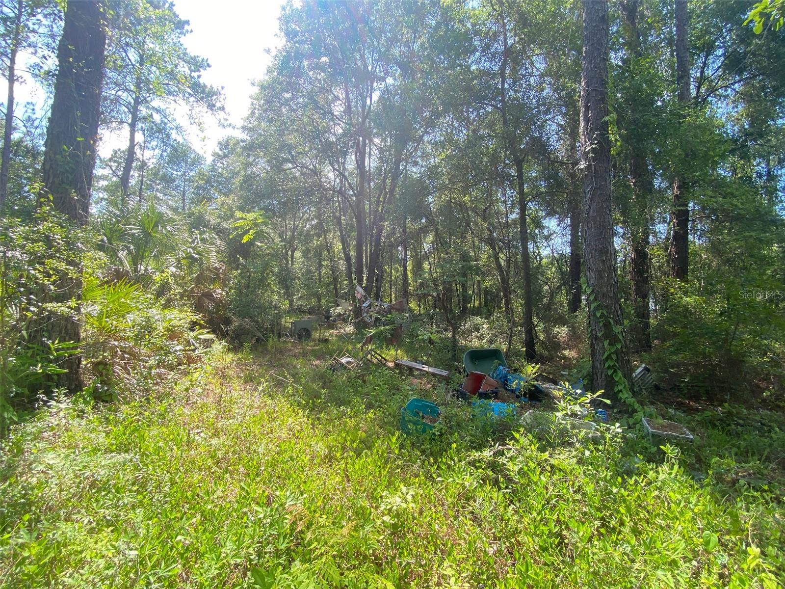 BLACKSINK CAMPSITES - Land