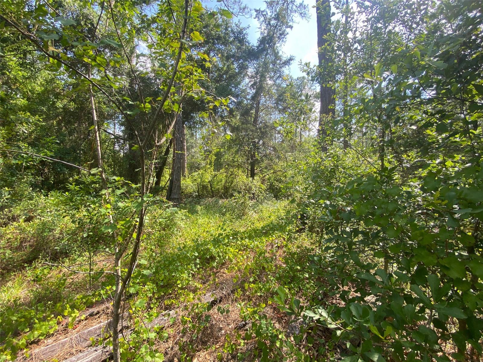 BLACKSINK CAMPSITES - Land