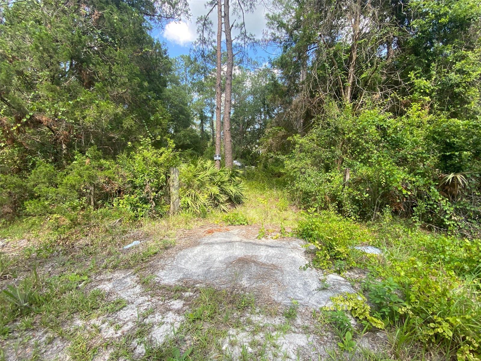 BLACKSINK CAMPSITES - Land