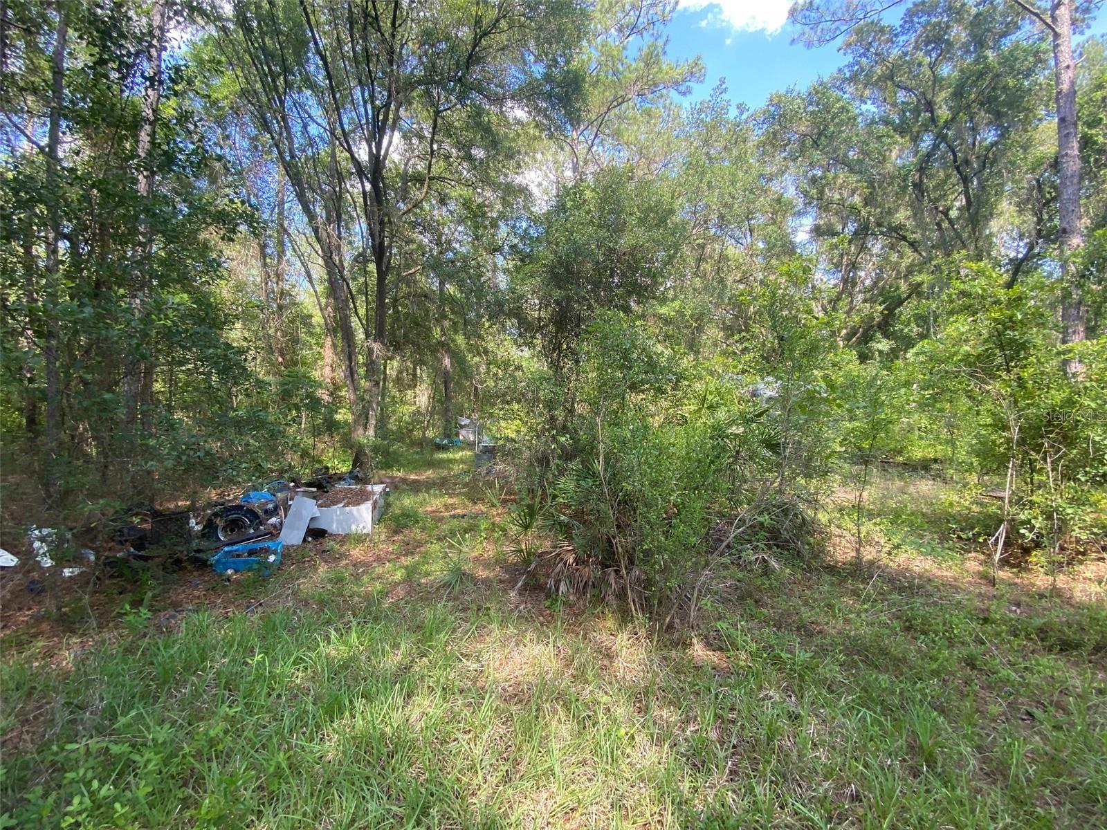 BLACKSINK CAMPSITES - Land