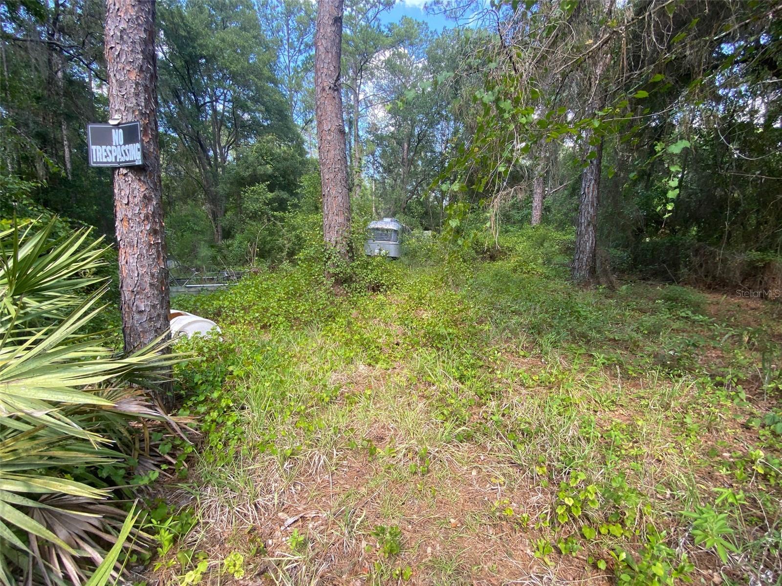BLACKSINK CAMPSITES - Land