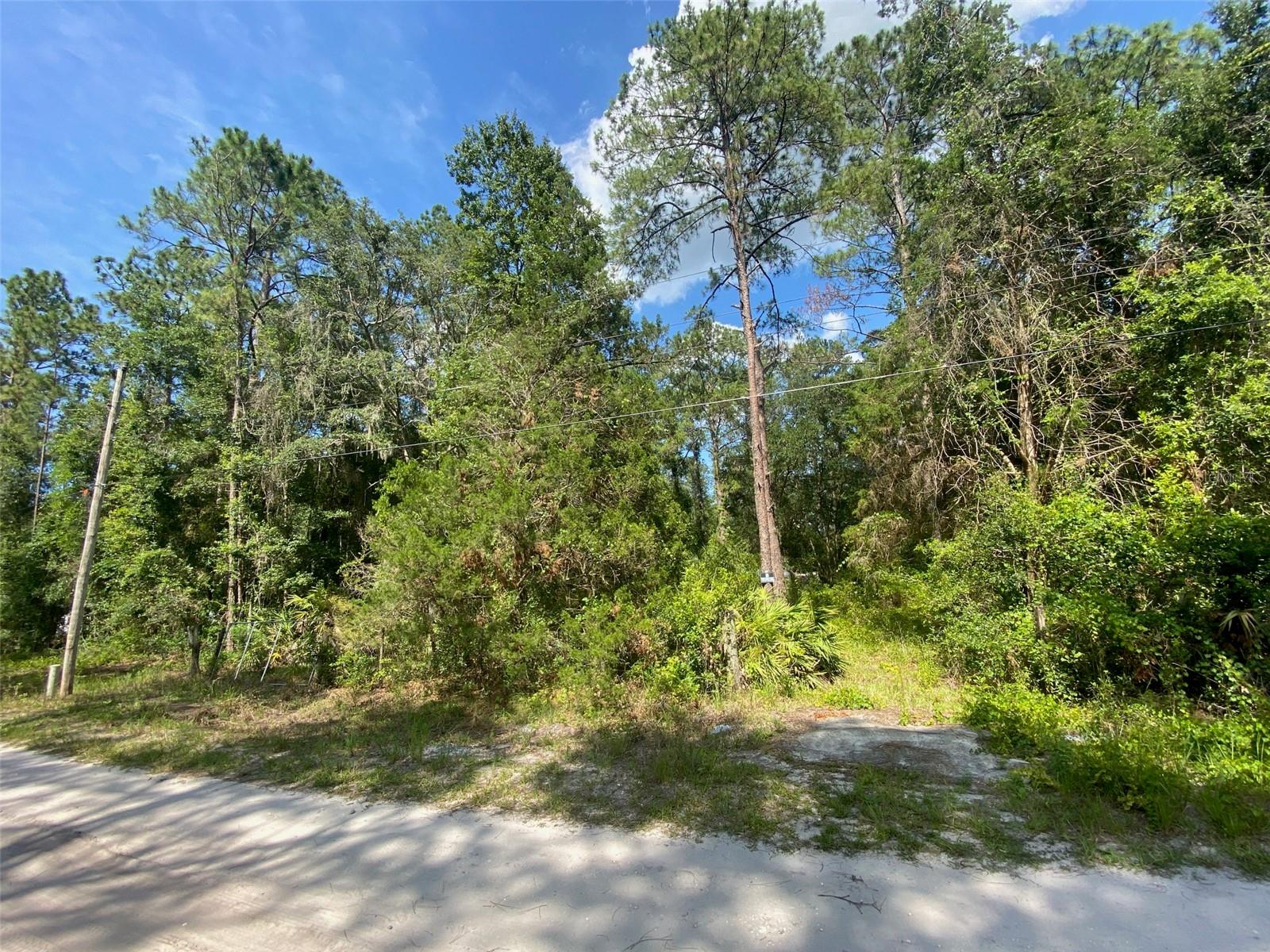 BLACKSINK CAMPSITES - Land