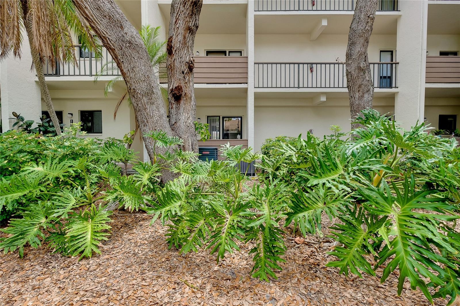 BIRD BAY II - Residential