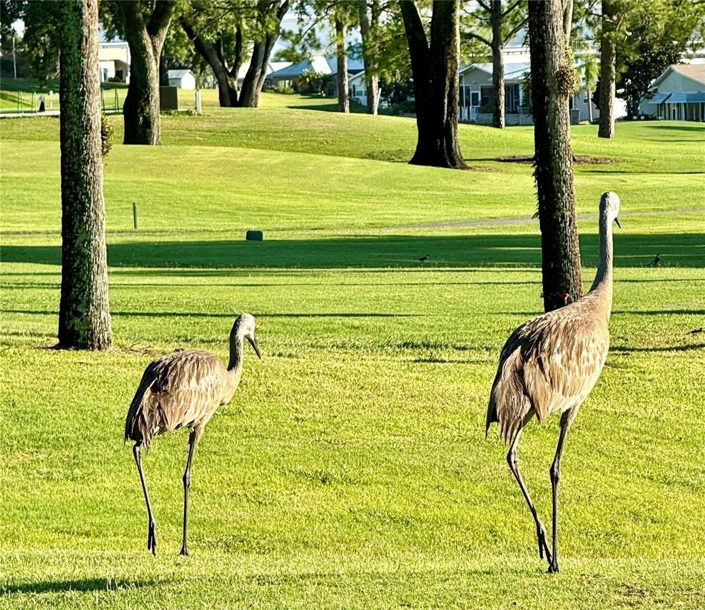 DEER CREEK GOLF & TENNIS RV RESORT PH 03-B - Residential
