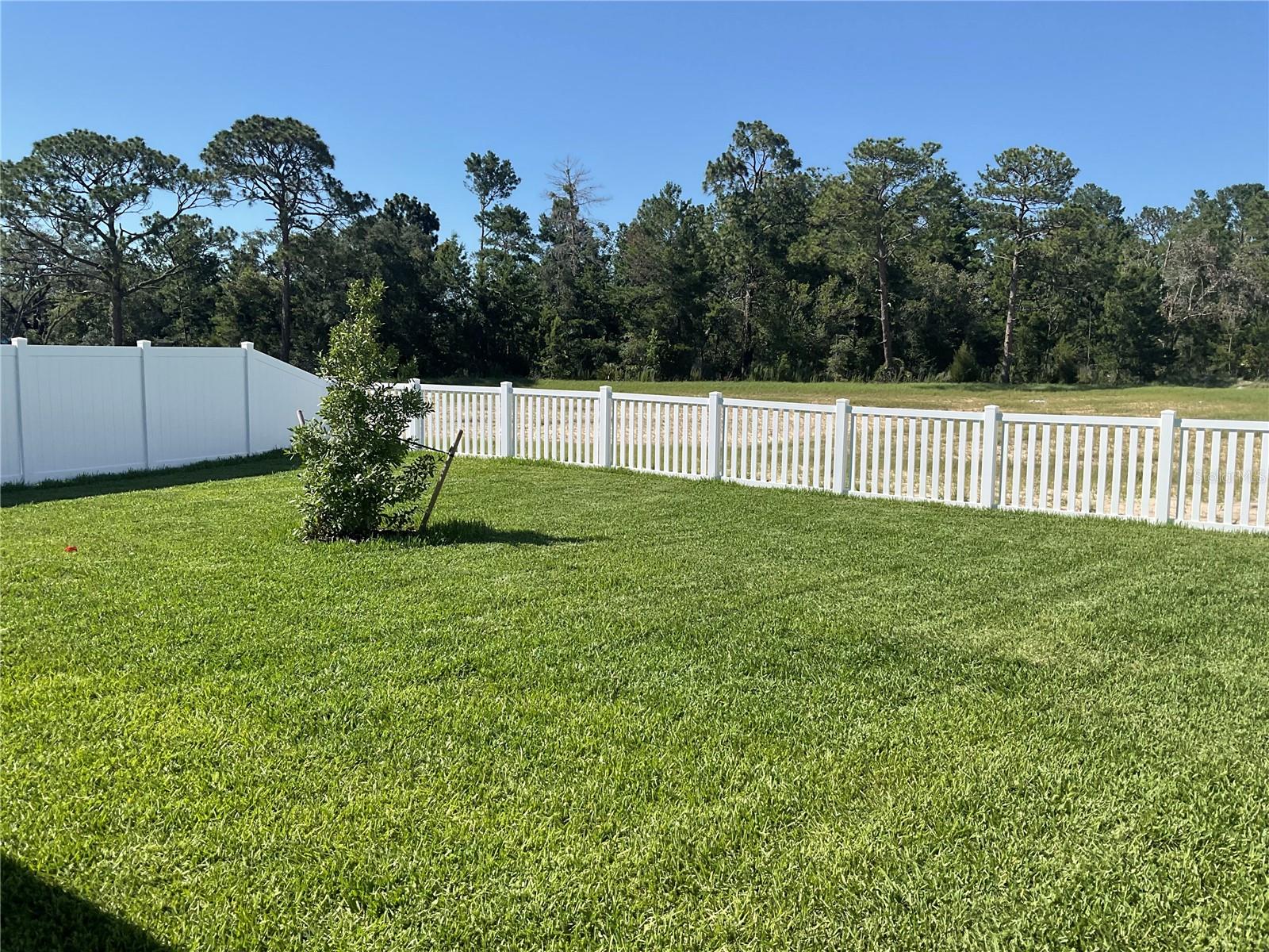 CALDERA PH 5 - Residential Lease