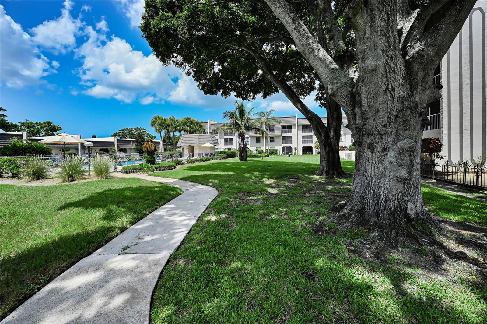 CORDOVA GREENS CONDO - Residential