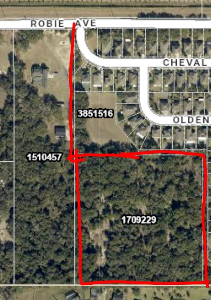 Rare opportunity for 10 acre property 5 minutes from downtown Mt Dora. Also 5 minutes from 429 extension on SR46 (CR453) for easy access to all things Orlando and beyond. Super private. Sits well away from any major road. Easy access to dining, shopping and hospitals. There are not many large parcels this close to Mt Dora.  Land has rolling slope toward the south for a grand, expansive views of the gorgeous oak trees on the property. No HOA, No CDD, No Flood Zone and no wetlands.
