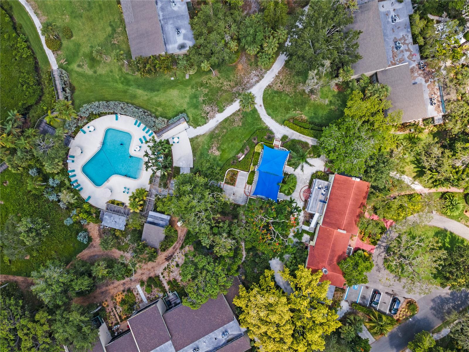 PELICAN COVE XVI - Residential