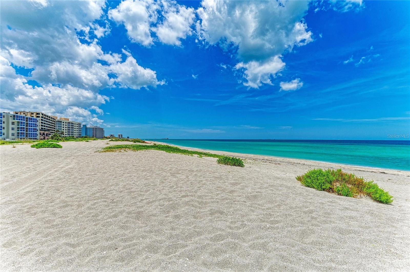 BAHIA MAR - Residential