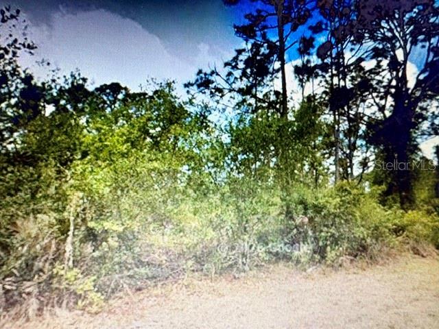 Build your Florida dream home on this desirable residential lot tucked away on a quiet street in Port Charlotte. Enjoy the privacy of this peaceful location while still being just minutes from shopping, dining, medical facilities, golf courses, parks, and everyday conveniences. With easy access to boating, fishing, Gulf beaches, and all that Southwest Florida has to offer, this property is an excellent opportunity to build now or invest for the future in one of Florida's fastest-growing communities.
