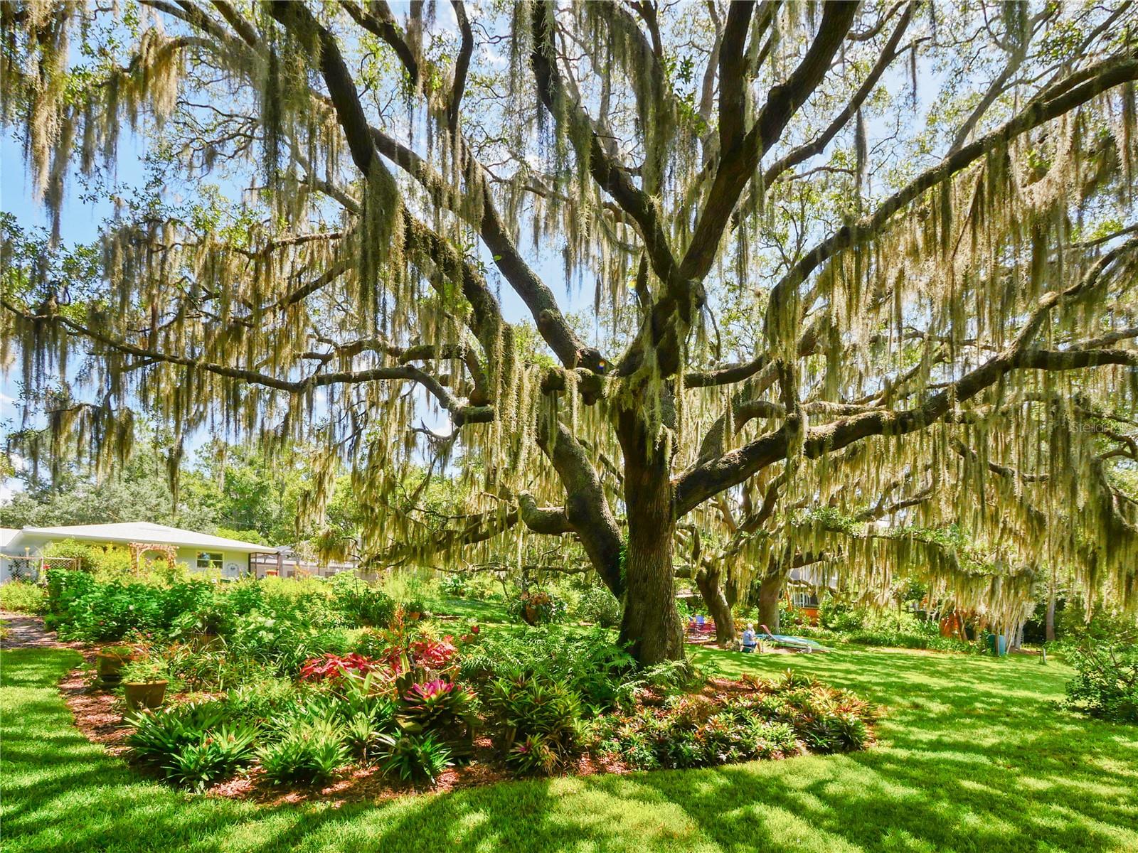 DEEP LAKE HOMESITES - Residential