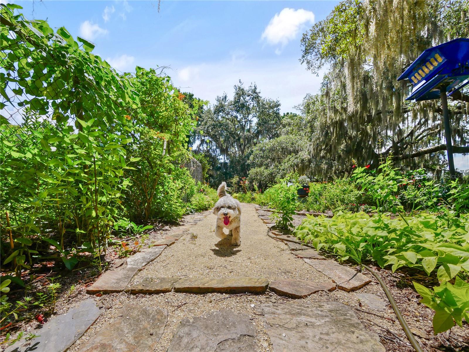 DEEP LAKE HOMESITES - Residential
