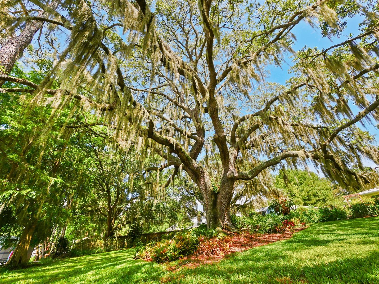 DEEP LAKE HOMESITES - Residential