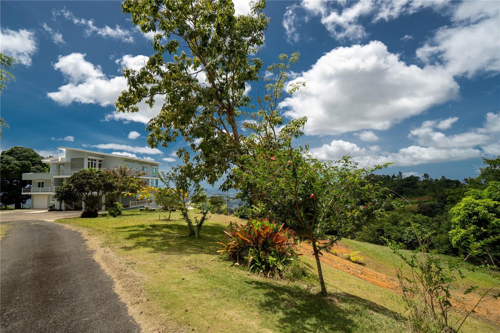 PALMA SOLA - Residential