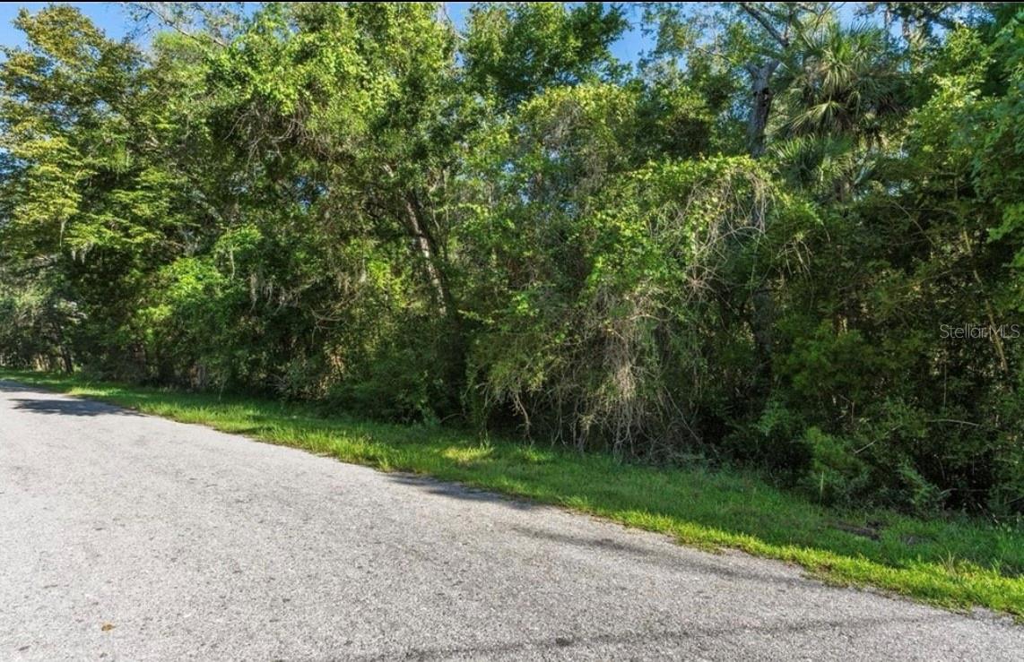 HOMOSASSA RETS UNIT 05 UNREC - Land