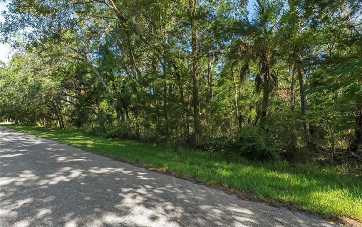 TWO adjacent lots in Old Homosassa for sale! 10947 &10975 W. Rockhaven Ln. Homosassa, FL. Paved road frontage for both lots. Each lot is 0.48 acres for a total of nearly an acre of land with paved road frontage. This property is located in old Homosassa. You can take your boat to one of several local boat ramps, ride your golf cart to local restaurants, or cool off in the spring.