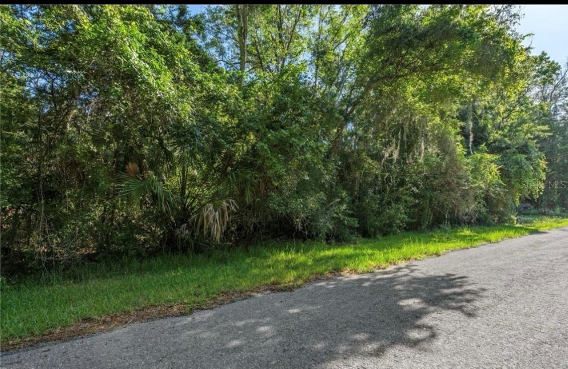 HOMOSASSA RETS UNIT 05 UNREC - Land