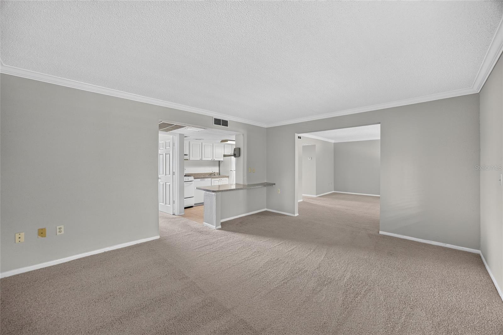 WATERSIDE AT CRANES ROOST A CONDO COMMUNITY - Residential